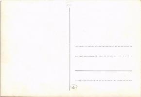 Budapest XIII. Margitszigeti uszoda. photo