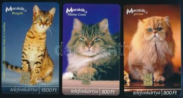 2003 MATÁV macskás telefonkártya, 3 db klf, benne 2000 példányos ritkaság is