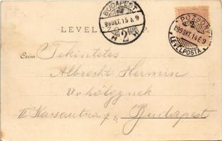 1899 Pozsony, Pressburg, Bratislava; Nemzeti szálloda, étterem és kávéház. Hans Nachbargauer kiadása...