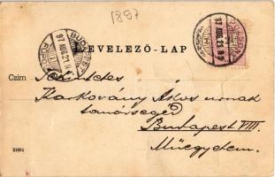 1897 (Vorläufer!) Pozsony, Pressburg, Bratislava; Schloss / vár / castle (fa)