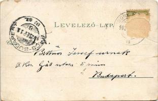 1902 Pozsony, Pressburg, Bratislava; Theaterplatz / Színház tér, üzletek. Heliocolorkarte von Ottmar...