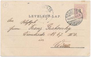 1899 Pozsony, Pressburg, Bratislava; látkép, vár, gőzhajó, Újvárosi pályaudvar, vasútállomás, villam...