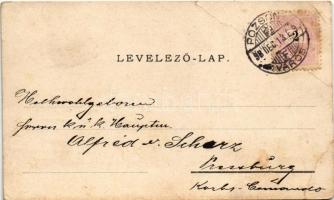 1898 Pozsony, Pressburg, Bratislava; Szálloda a Magyar királyhoz, látkép várral, Színház, Koronázási...