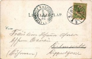 1903 Pozsony, Pressburg, Bratislava; látkép, vár, gőzhajó, uszály. Duschinsky G. kiadása / general v...