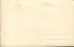 Tábori vasút építése (?) / military field railway construction. photo