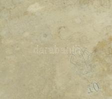 Monogramos alpakka füles tálca, kopásnyomokkal, 18×31 cm