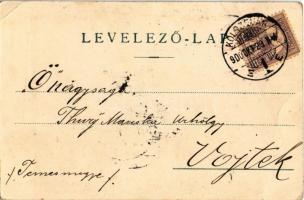 1900 Lady on bicycle. Künstlerkarte No. 214. Graph. Kunstanstalt Aug. Strasilla, Troppau. litho (uns...