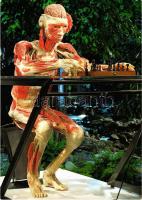 Sakkozó testfelépítése / body structure of a chess player - MODERN