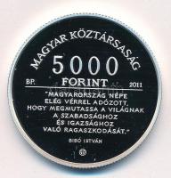 2011. 5000Ft Ag "Bibó István" kapszulában, tanúsítvánnyal T:PP Adamo EM241