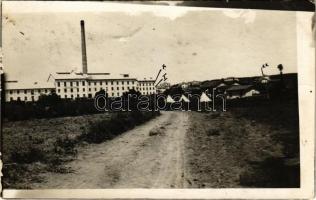 1931 Alpullu, laboratory. photo (fl)
