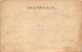 Opocna, Zámek, Cast parku se zámkem, Nádvori / castle, castle park, courtyard. Art Nouveau, floral (...