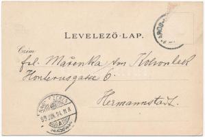 1899 (Vorläufer) Marosvásárhely, Targu Mures; Bem szobor, Fő tér. Temesvári M. / statue, main square...