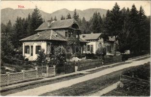 1910 Brassó, Kronstadt, Brasov; Noa (fa)