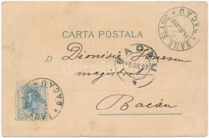 1899 Slanic-Moldova, Szlanikfürdő; Clubul Regal, Hotel Racovitza / general view, hotel, royal club, ...