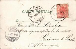 1900 Sulina, Observator, Spitalul C.E.D. / lighthouse, hospital. Emil Pinkau & Co. Art Nouveau, ...