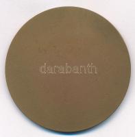 Búza Barna (1920-2010) 1961. "XIX. Kerületi Ady Endre Úti Iskola 1911-1961" Br emlékérem (...