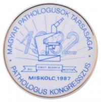 1987. Magyar Pathologusok Társasága - Pathologus Kongresszus - Miskolc 1987 egyoldalas, jelzett Hollóházi plakett (88mm) T:1-,2