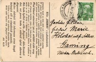 1910 Luhacovice, Villa Dagmar (EK)