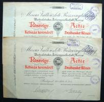 1917. "Mercur Váltóüzleti Részvénytársaság" részvénye 200K-ról (2x) közel eső sorszámokkal, magyar és német nyelven