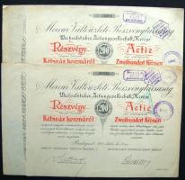 1917. "Mercur Váltóüzleti Részvénytársaság" részvénye 200K-ról (2x) egyugrású sorszámokkal, magyar és német nyelven