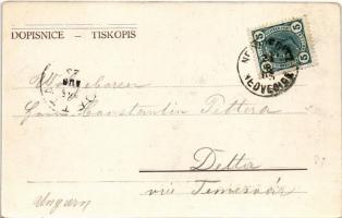 1905 Nedvedice, Sál spiklencu na hrade Pernstyne / Pernstejn Castle, hall interior (EK)