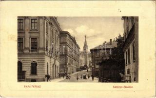 Trutnov, Trautenau; Gebirgs-Strasse / street view, church, hotel. W.L. Bp. 3463. (EK)