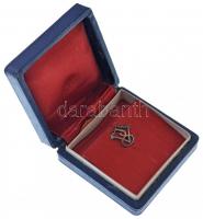 1961. "Vasas" fém jelvény eredeti tokban (13x13mm) T:1-