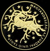 2004. 50.000Ft Au "Magyarország az EU tagja" 13,964g T:PP Csak 7000db!