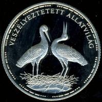 1992. 200Ft Ag "Veszélyeztetett állatvilág-gólya" T:PP