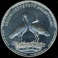 1992. 200Ft Ag "Veszélyeztetett állatvilág-gólya" T:BU