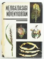Szepessy István, dr.: Mezőgazdasági növénytan. Bp., 1967. Mezőgazdasági kiadó Kiadói vászonkötésben, szakadt papír védőborítóval.