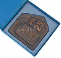 1975. "Az MN8047 jubileumi évfordulója alkalmából" Br plakett, a felcsúti repülőüzemanyag-...