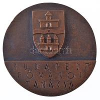 ~1970-1980. Budapest Főváros Tanácsa kétoldalas, öntött bronz plakett, előlapján az Országház épületével (68mm) T:1- kis patina