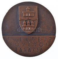 ~1970-1980. "Budapest Főváros Tanácsa" kétoldalas, öntött bronz plakett, előlapján az Országház épületével (68mm) T:1- kis patina