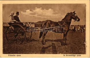 Friesche sjees. In kromsidige sjeas / Frisian folklore, horse-drawn carriage (EK)