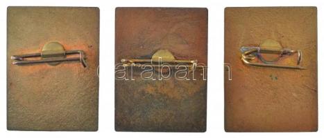 ~1970-1980. 3db-os Úttörő kitüntető jelvény tétel, benne "A környezetért", "Az edzett...