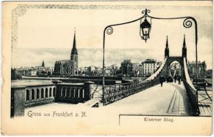 Frankfurt, Eiserner Steg / bridge (tear)