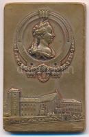 Ausztria ~1900. "Császári és Királyi Theresianum Katonai Akadémia - Legjobb lövész" bronz ...