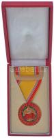 1965. Szolgálati Érdemérem - A Haza Fegyveres Szolgálatában 10 év után, zománcozott Br kitüntetés mellszalagon, szalagsávval, eredeti tokban T:1,1-