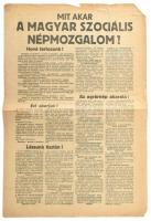 cca 1940 Mit akar a Magyar Szociális Népmozgalom? Nemzetiszocialista plakát, szélén kis beszakadásokkal 470x320mm