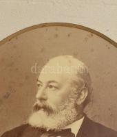 Finály Henrik (1825-1898) klasszika-filológus tanár nagy mérető fényképe. Klösz György pecséttel jel...
