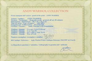 Andy Warhol (1928-1987): Apple Macintosh. Litográfia, papír. Sorszámozot 38/100 jelzett a nyomaton. ...