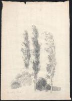 Bernáth Aurél jelzéssel: Táj. Ceruza, papír, sérült. 37x26 cm