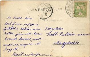 1906 Temesszécsény, Nagyszécsény, Seceani; két csacsi, kisfiú szamárháton villa kertjében / boy on d...