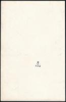 cca 1930 Angelo (1894-1974) budapesti fényképész és fotóművész hagyatékából 1 db pecséttel jelzett v...