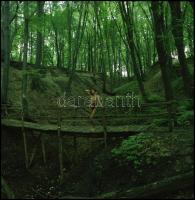 Több fotómodell közreműködésével cca 1980 és 1995 között készült aktfelvételek, Menesdorfer Lajos (1...