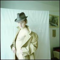 Több fotómodell közreműködésével cca 1980 és 1995 között készült aktfelvételek, Menesdorfer Lajos (1...