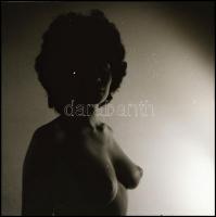 Eltérő időben, különböző helyszíneken készült aktfelvételek, Menesdorfer Lajos (1941-2005) budapesti...