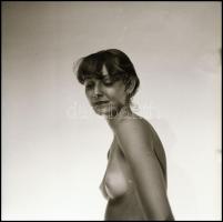 Különböző helyszíneken, eltérő időpontokban, több fotómodell közreműködésével készült aktfelvételek,...