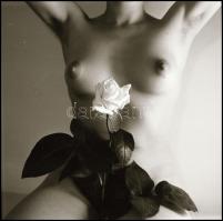 Különböző helyszíneken, eltérő időpontokban, több fotómodell közreműködésével készült aktfelvételek,...